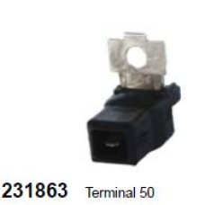 231863, 231863, CARGO, Терминал