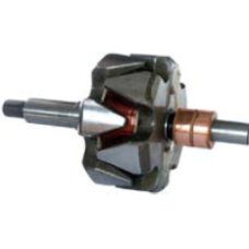 232823, 232823, CARGO, Ротор генератора