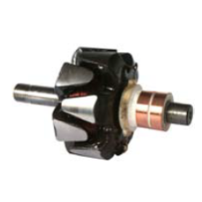 233183, 233183, CARGO, Ротор генератора